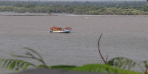 Các tàu cá cần chấp hành nghiêm các quy định về IUU trong quá trình khai thác hải sản