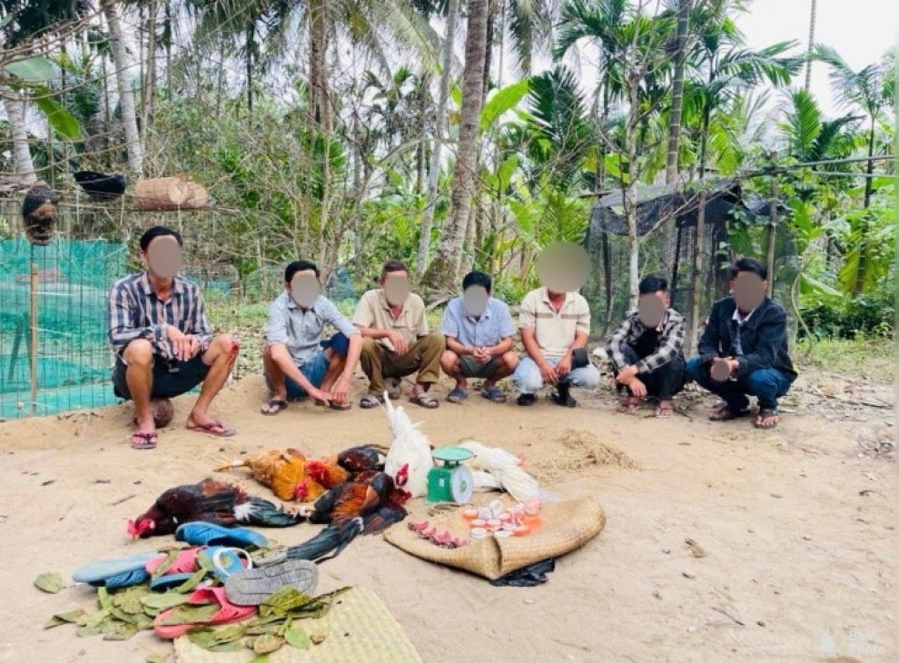 Công an xã Bình Phú triệt phá 01 điểm đá gà trái phép