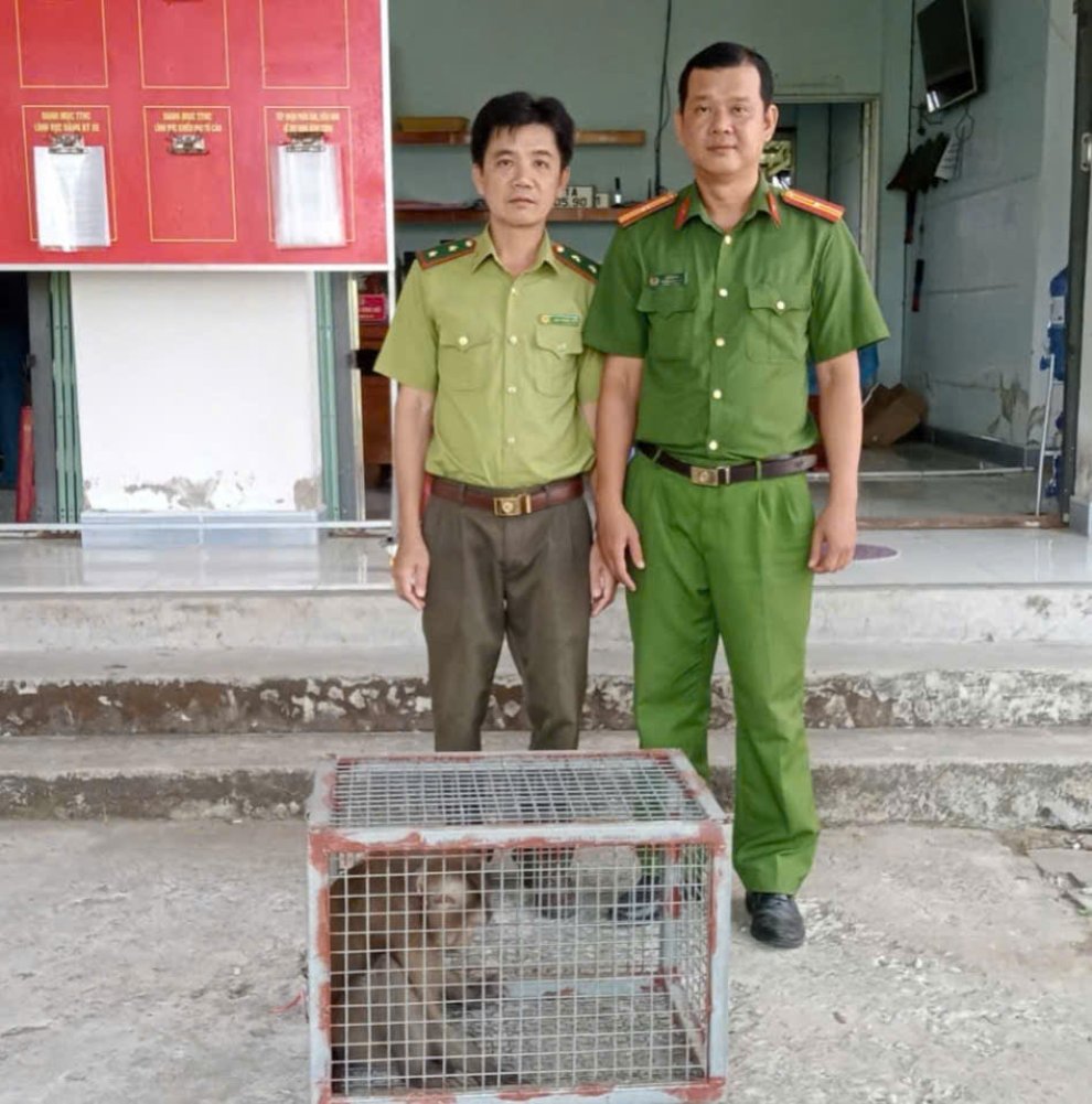 Công an xã bàn giao cá thể khỉ cho lực lượng Kiểm lâm