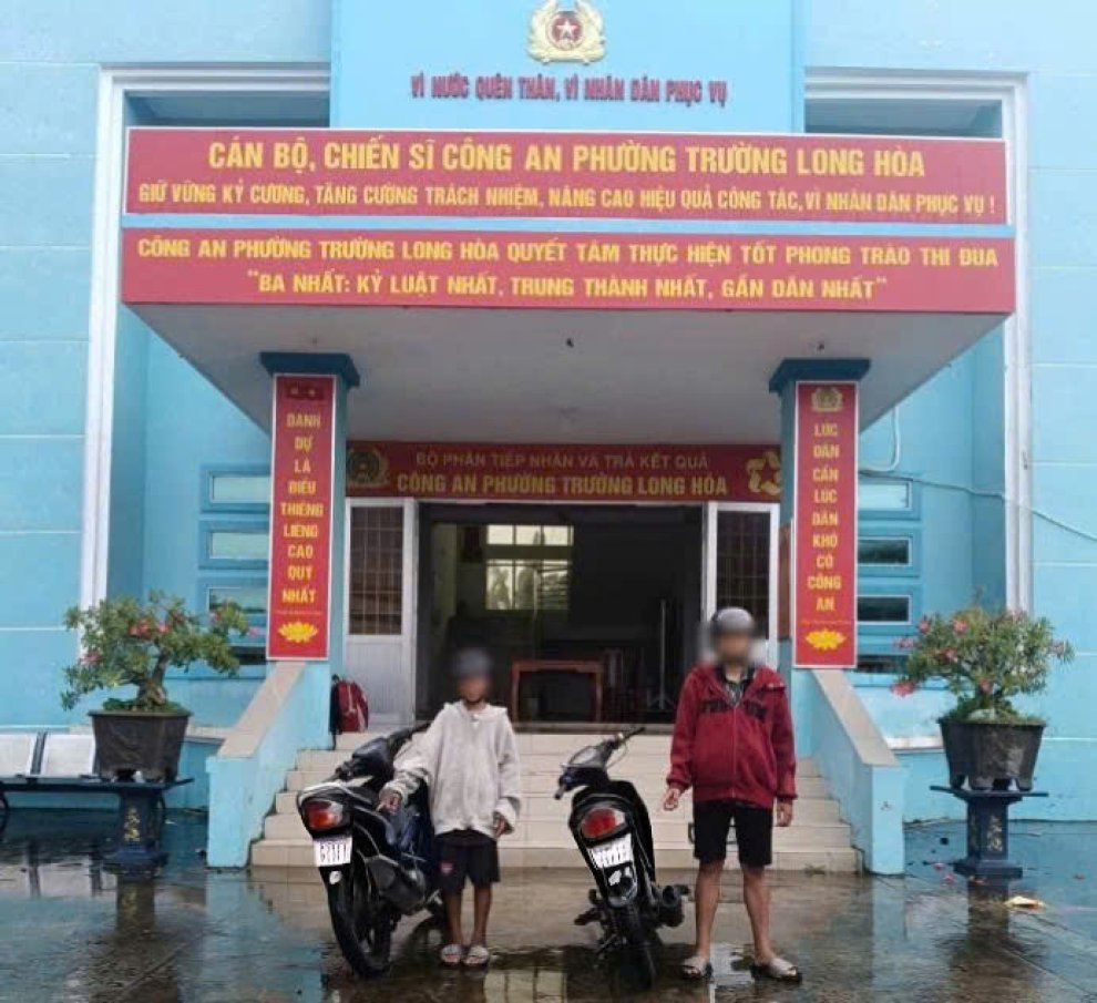 phuongtruonglonghoaANH 2