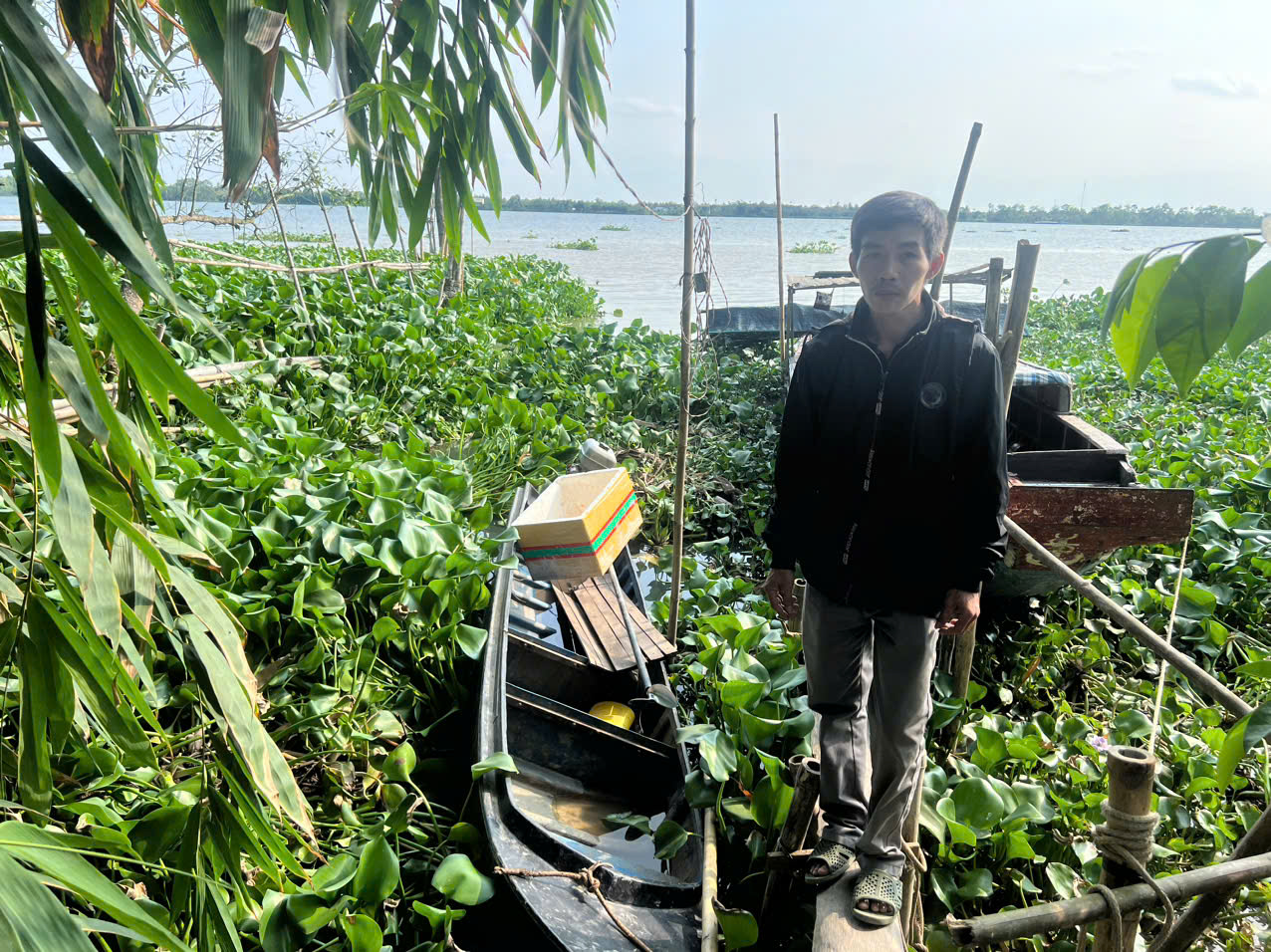 anh tra phuong tien