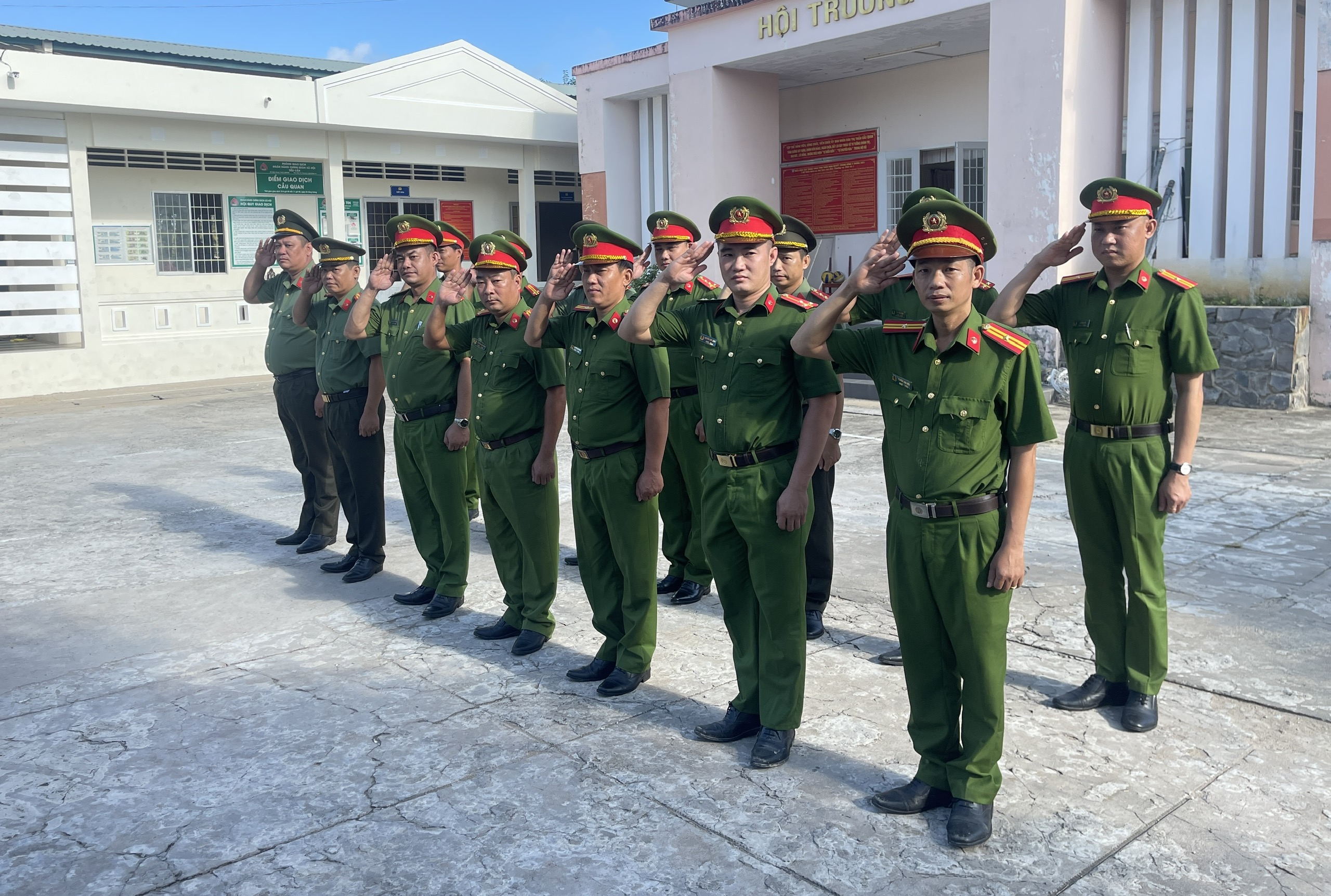 3TAN HOA