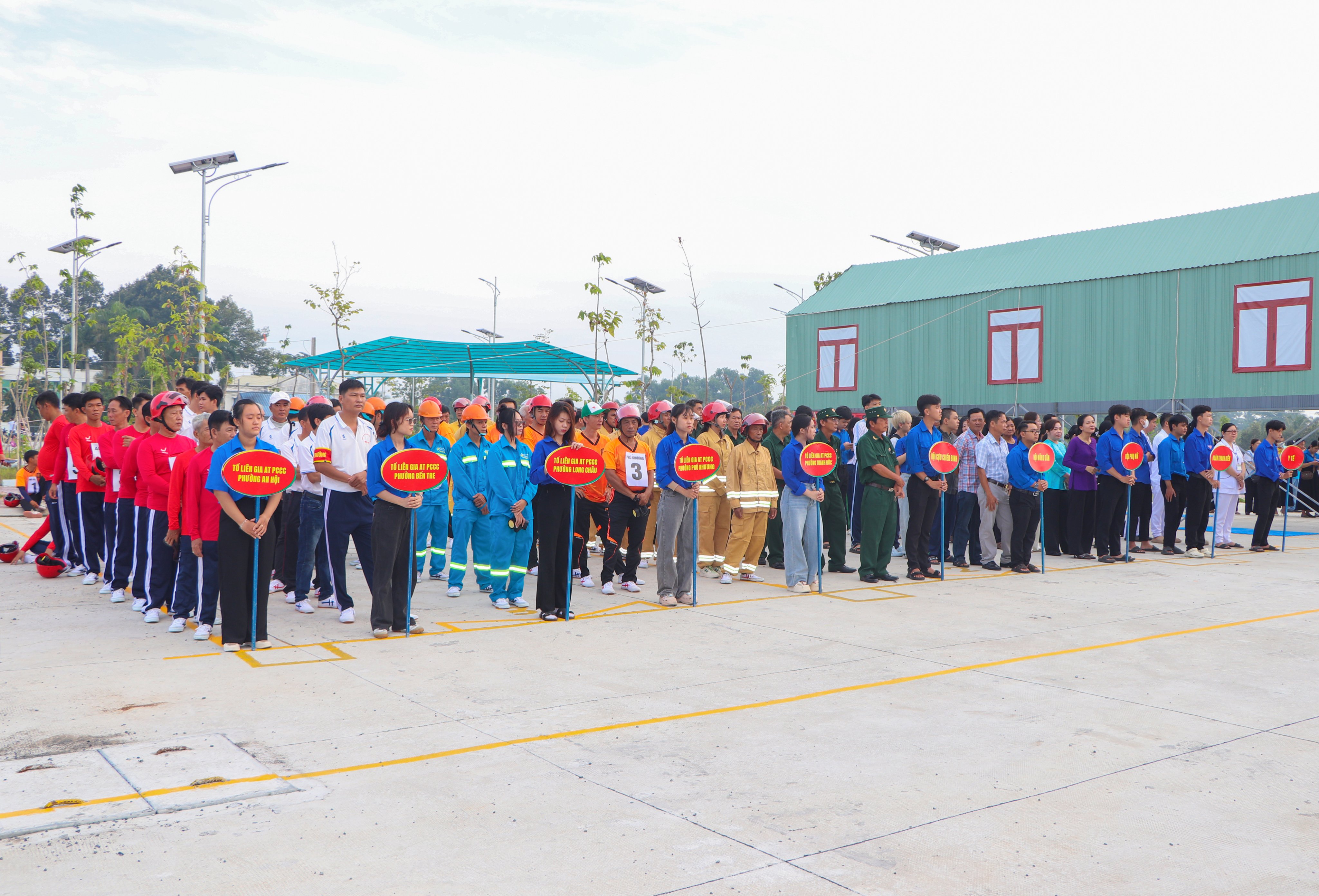 3TLG