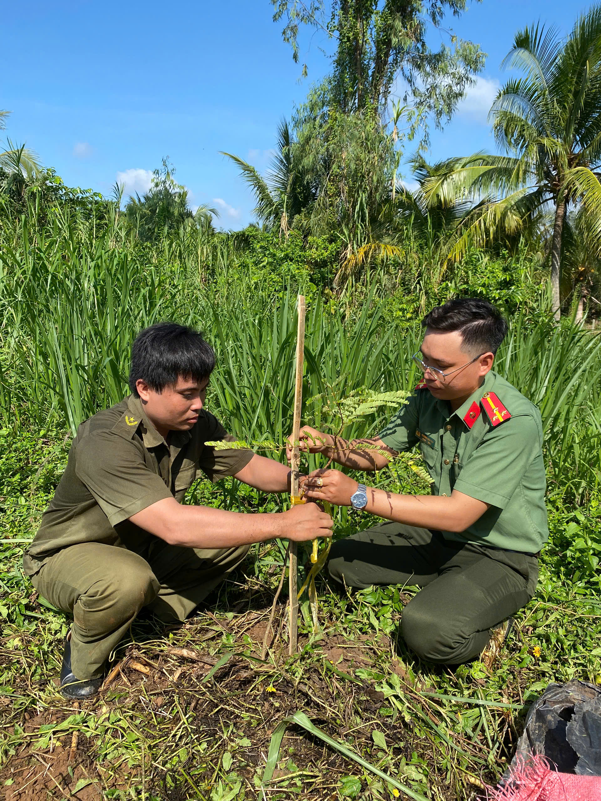 Lực lượng đoàn viên, thanh niên tham gia thu gom rác thải, trồng cây xanh 3