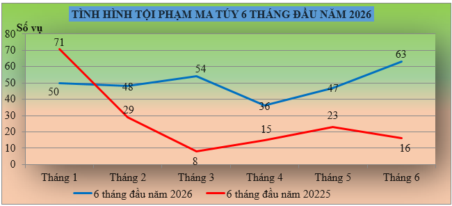 ma tuy hinh 1