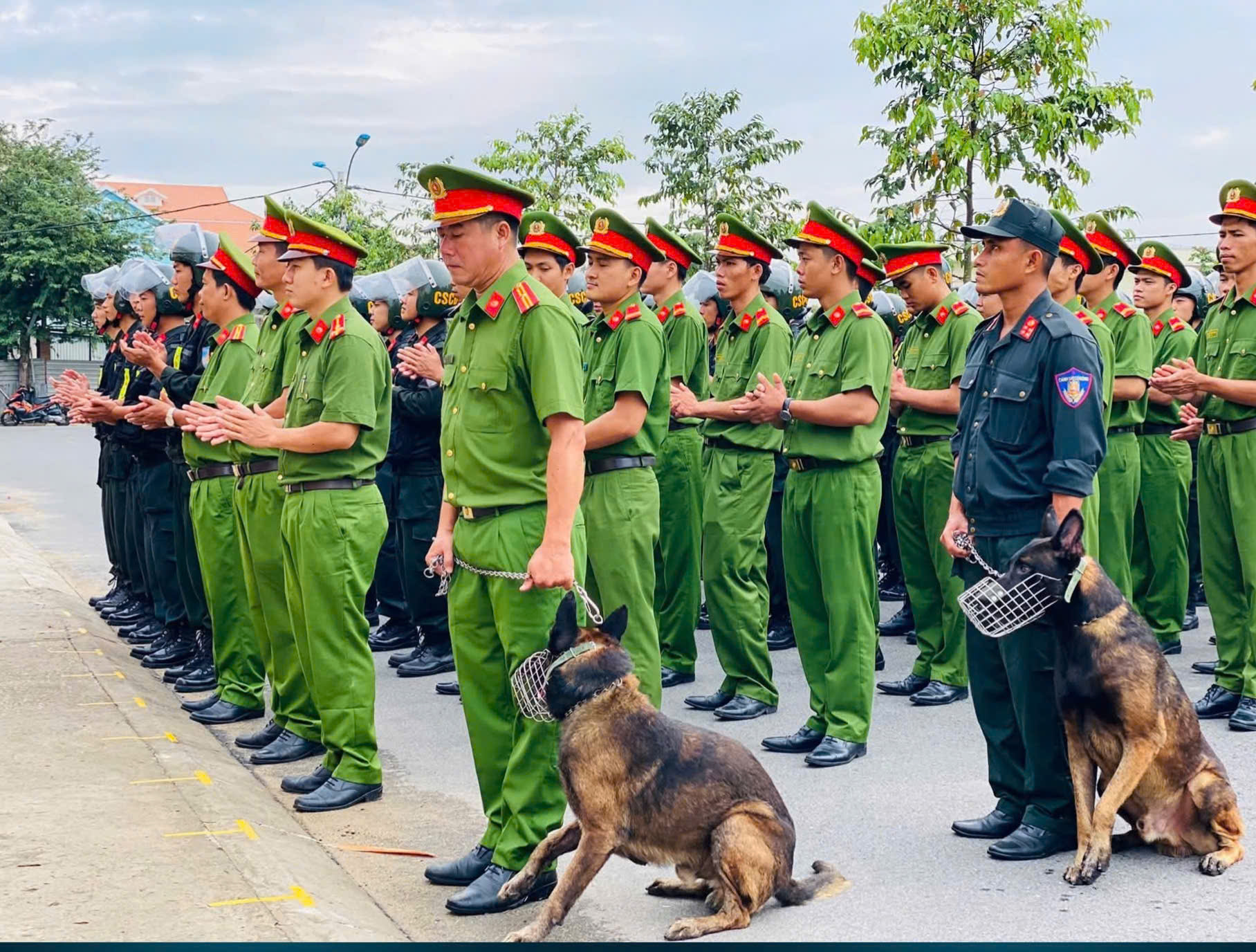 trien khai nhiem vu