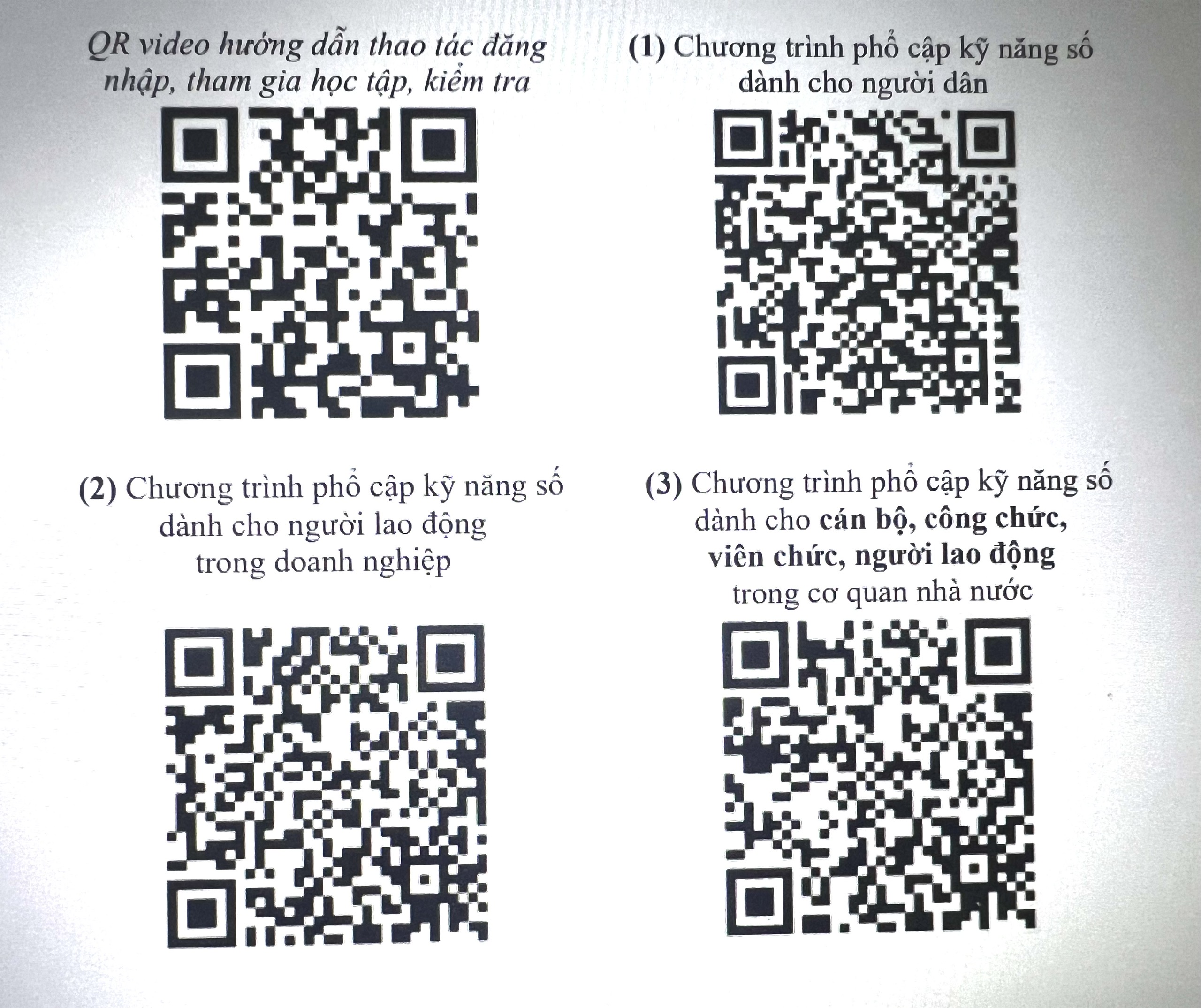 hinh qr