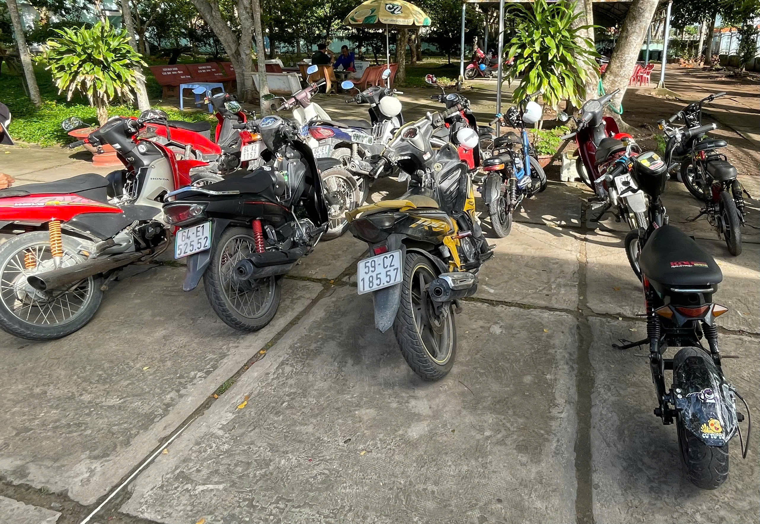 CAINGANGGT2