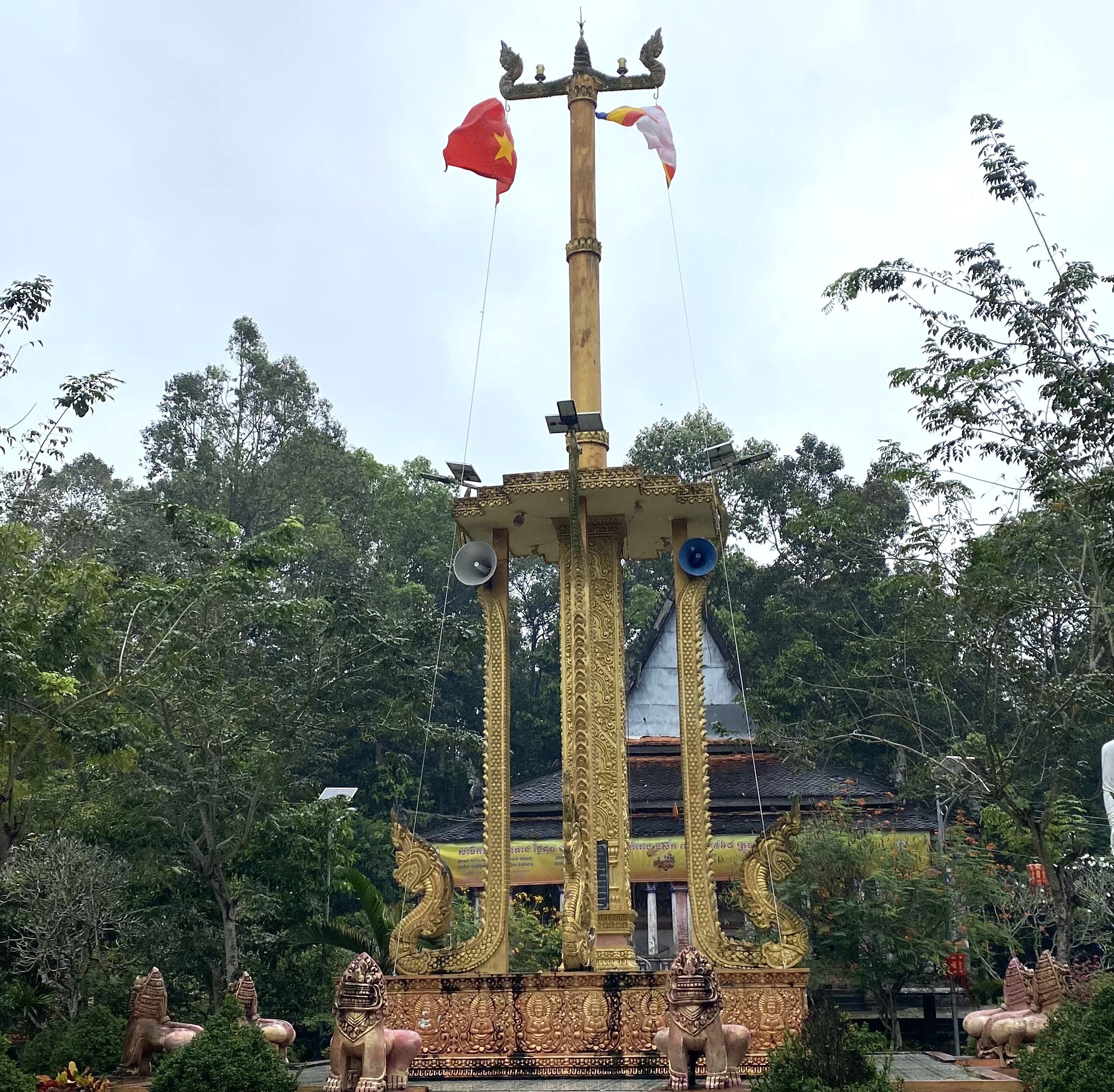 IMG 0973