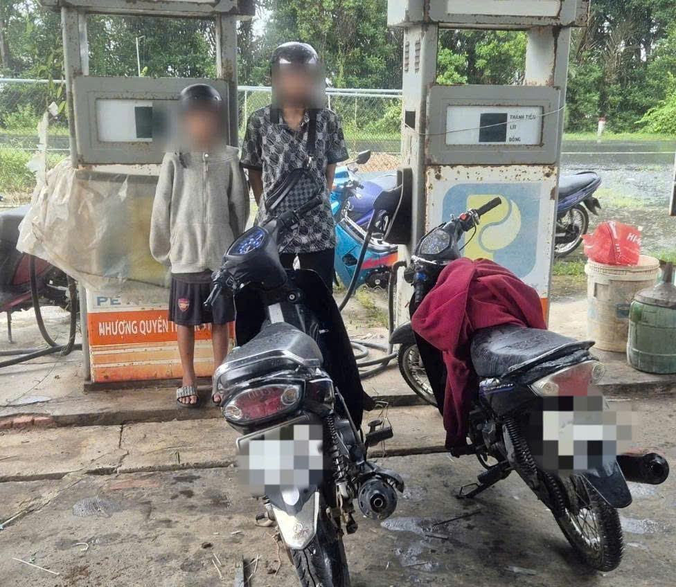 phuongtruonglonghoaANH 1