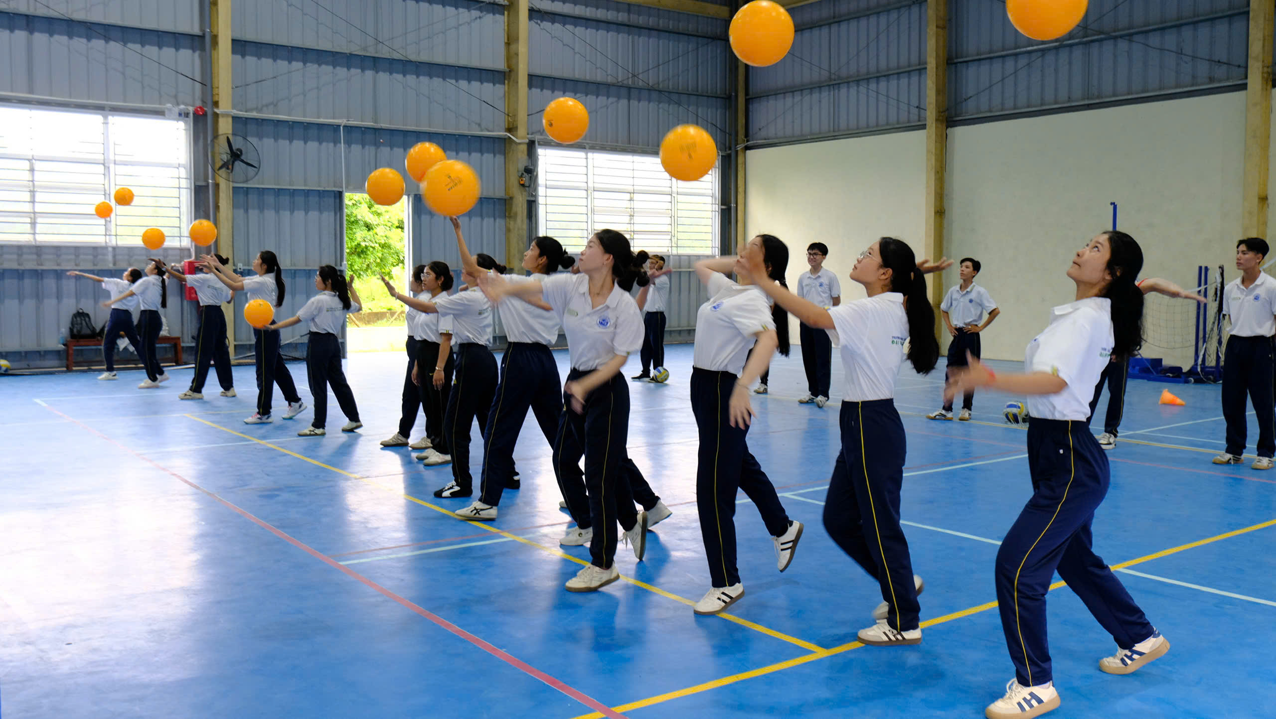 Tham gia các hoạt động