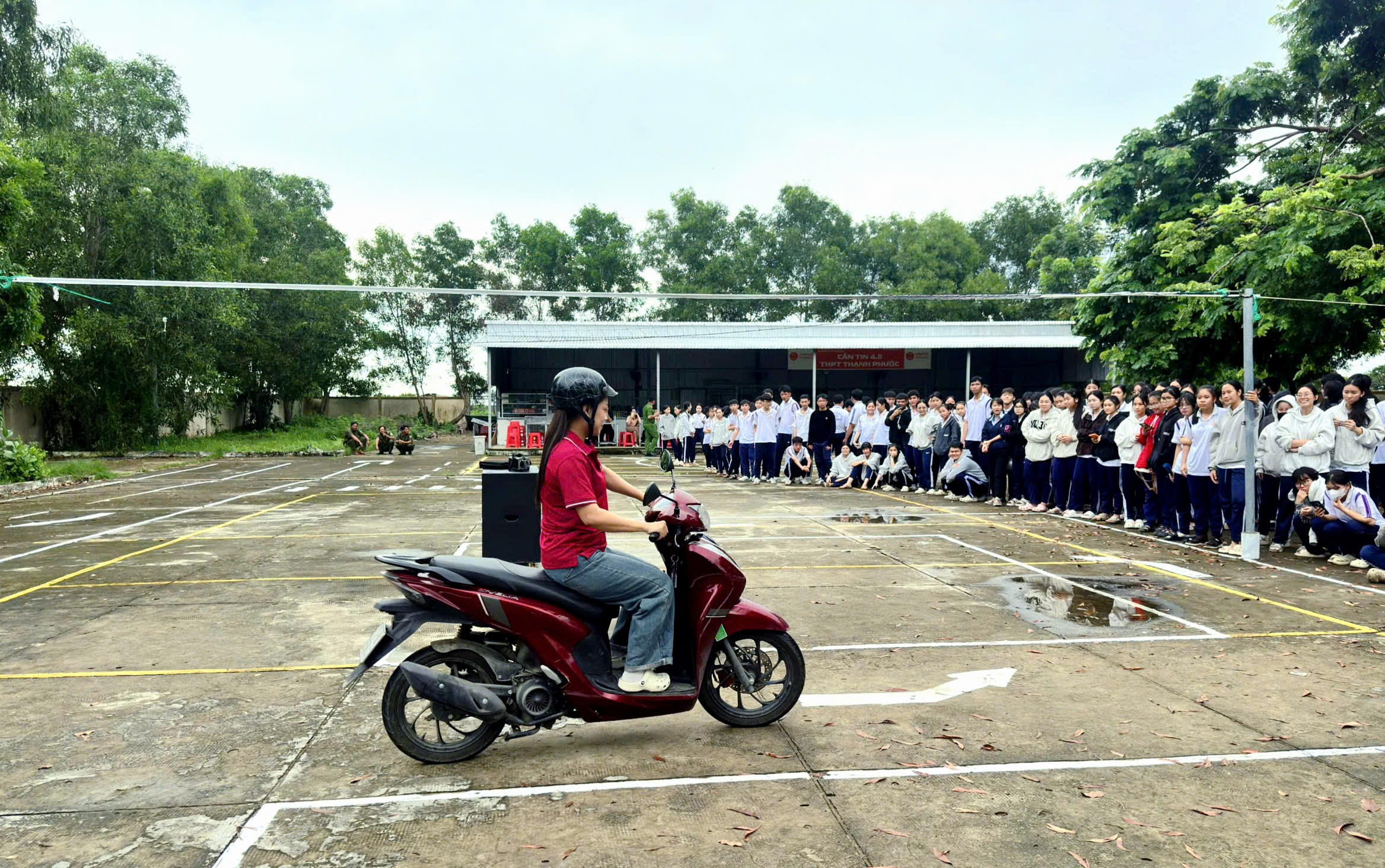 TPHHình 3