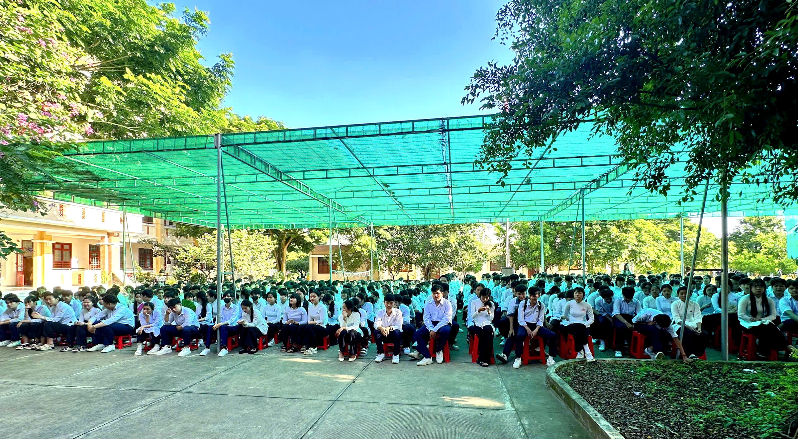 TPQuan cảnh chung